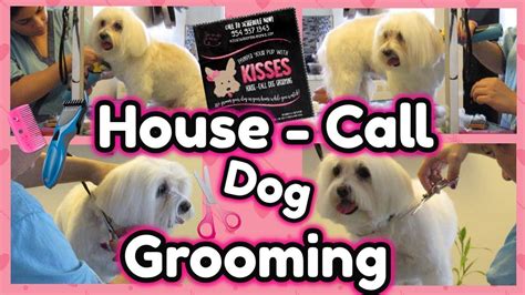 house call dog grooming|More.